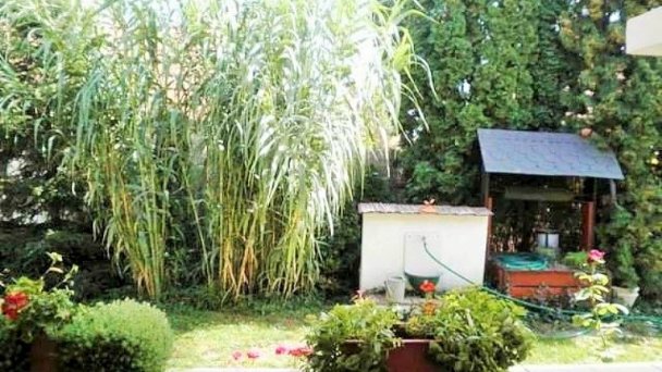 Penziónový domček Emese a Pivničná chatka pri jazere Búč 27