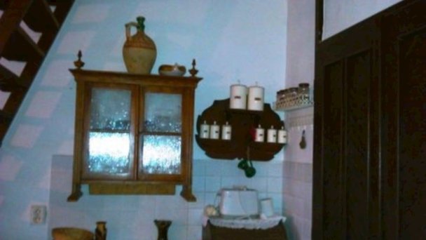 Penziónový domček Emese a Pivničná chatka pri jazere Búč 37