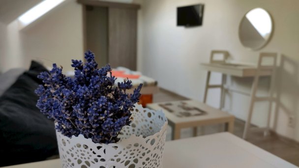 Penzión Liska Radava 53