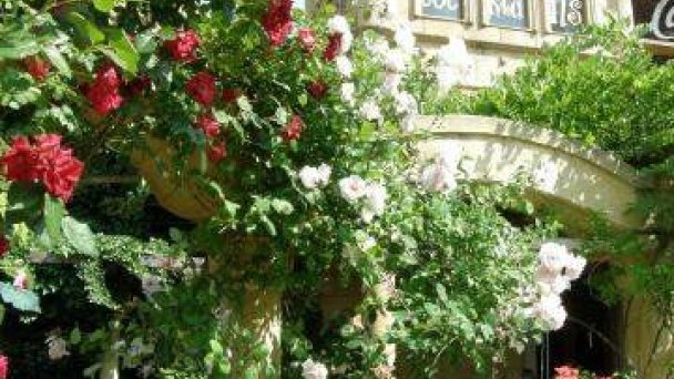 Hotel Bow Garden Komárno 21