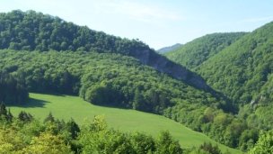 Chalet Jasmin Beluša 6