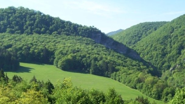 Chalet Jasmin Beluša 6