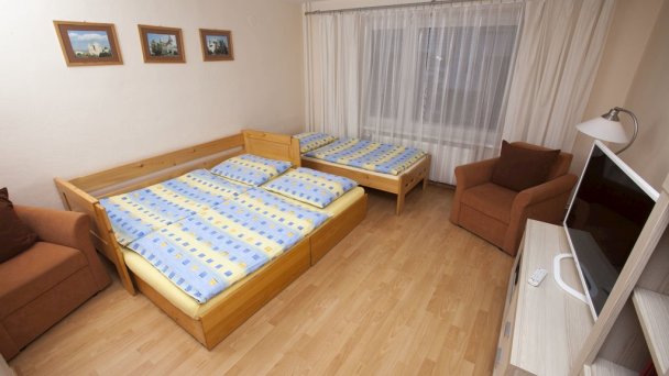 Bojnický dom Bojnice 8