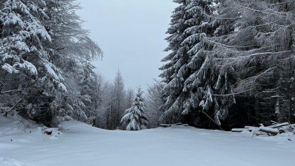 Chata pod Magurou Chvojnica 7