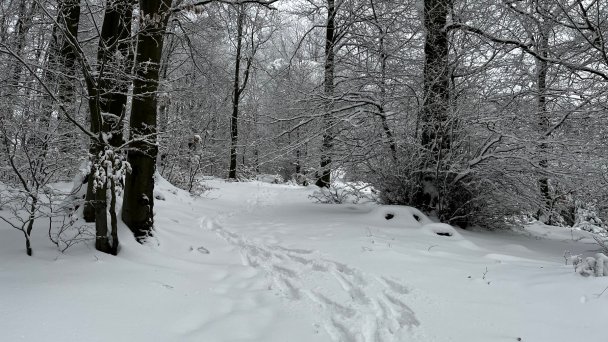 Chata pod Magurou Chvojnica 18