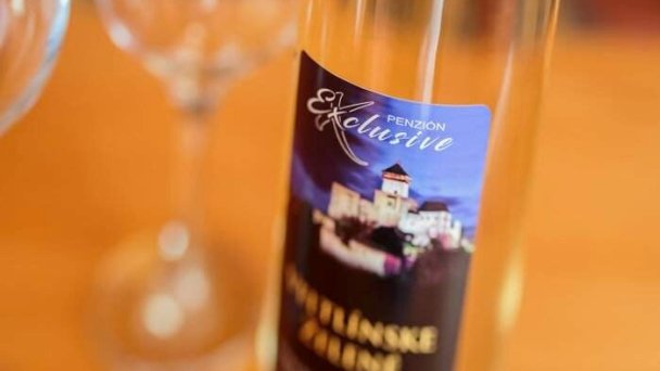 Penzión Exclusive Trenčín 40