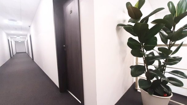 Apartments Dimael Bratislava 15