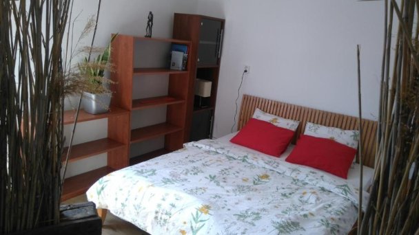 Rastlinky.sk Greenhouse Guestrooms Bratislava Ružinov 29