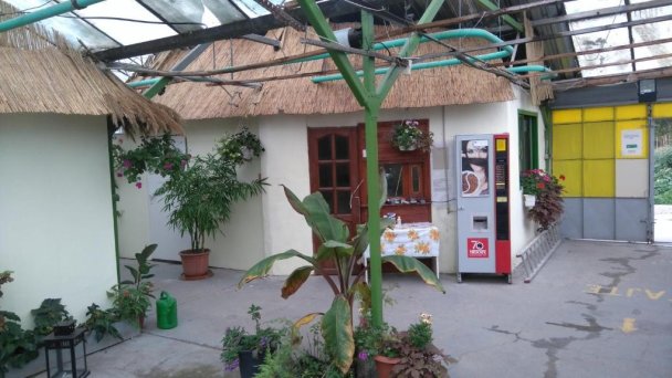 Rastlinky.sk Greenhouse Guestrooms Bratislava Ružinov 31
