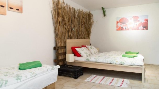 Rastlinky.sk Greenhouse Guestrooms Bratislava Ružinov 33