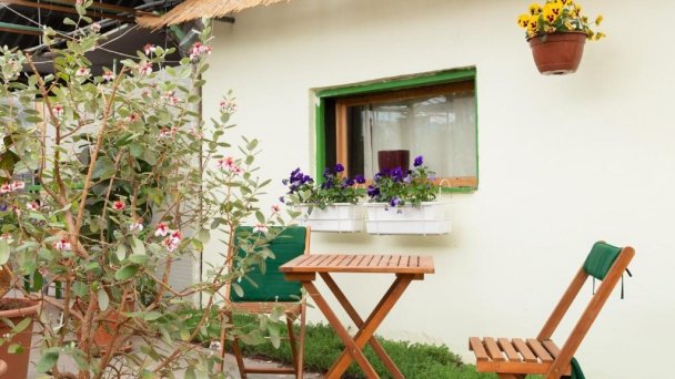 Rastlinky.sk Greenhouse Guestrooms Bratislava Ružinov 38