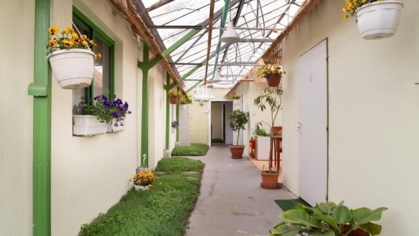 Rastlinky.sk Greenhouse Guestrooms Bratislava Ružinov 7