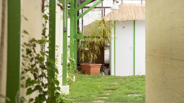 Rastlinky.sk Greenhouse Guestrooms Bratislava Ružinov 40