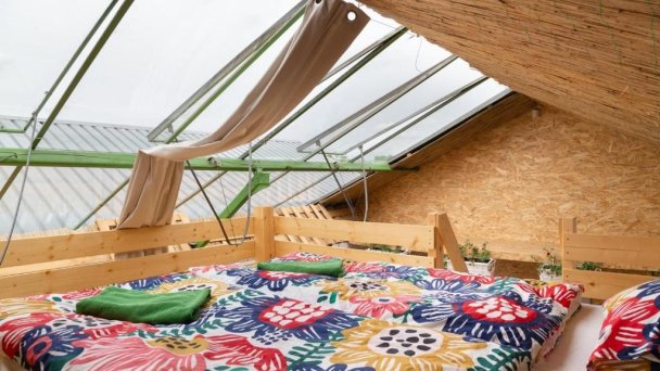 Rastlinky.sk Greenhouse Guestrooms Bratislava Ružinov 43
