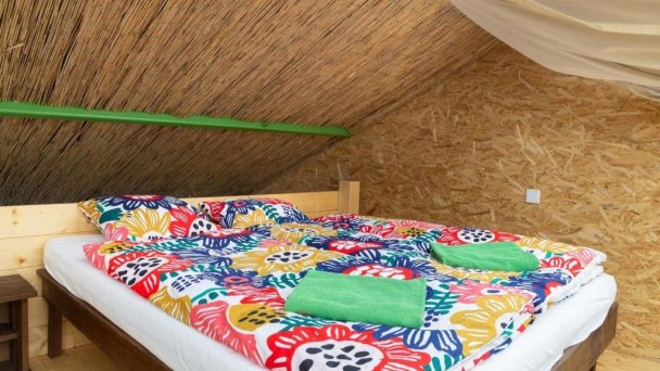 Rastlinky.sk Greenhouse Guestrooms Bratislava Ružinov 17