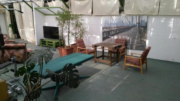 Rastlinky.sk Greenhouse Guestrooms Bratislava Ružinov 19