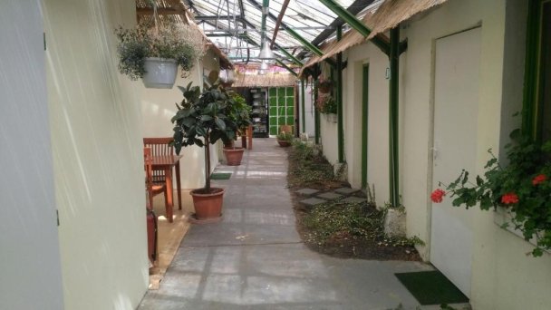 Rastlinky.sk Greenhouse Guestrooms Bratislava Ružinov 20