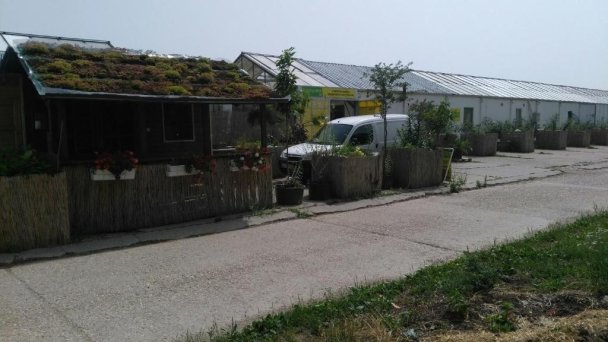 Rastlinky.sk Greenhouse Guestrooms Bratislava Ružinov 22