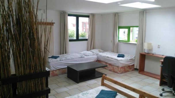 Rastlinky.sk Greenhouse Guestrooms Bratislava Ružinov 25