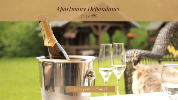 Penzión Drak a Apartmány Demänová 11 Penzión Drak a Apartmány Demänová 11