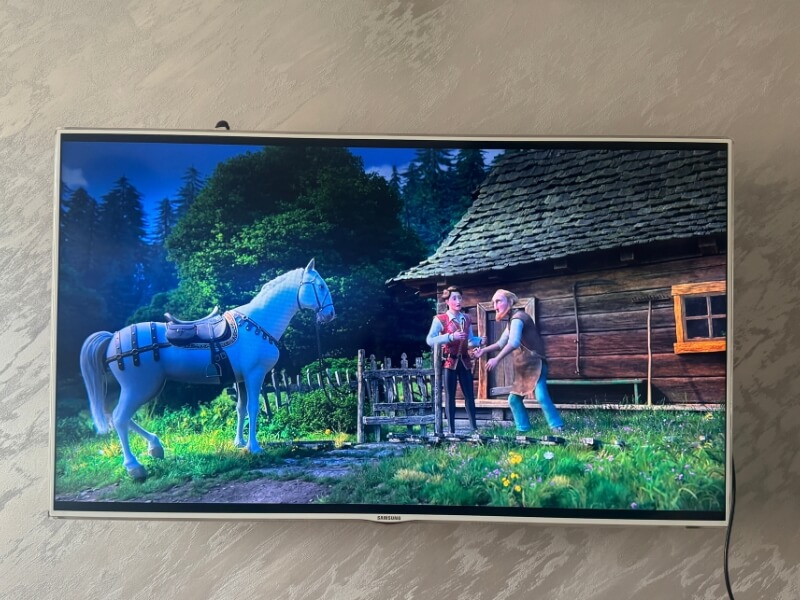 Televízor na stene s pustenou animovanou rozprávkou.