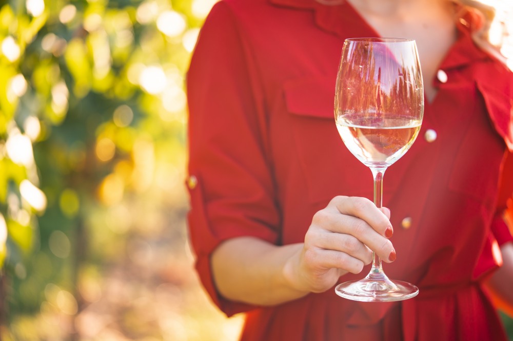 žena v červenej košeli drží pohár s bielym vínom vo vinohrade