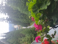 20210804_184834.jpg