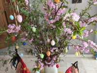 obrazekwhatsapp2025-04-19v19.50.46_ea093678.jpg