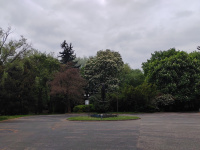 img-20250505-wa0000.jpeg