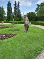 20250609_111601.jpg