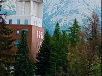 img_20250711_105214.jpg