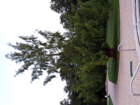 20250803_201433.jpg