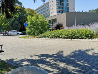img_20250805_105945.jpg