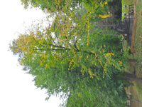 20250829_093407.jpg