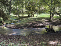 img_3253.jpeg