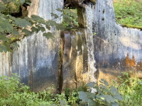img_3254.jpeg