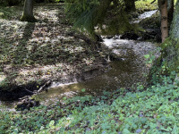 img_3256.jpeg