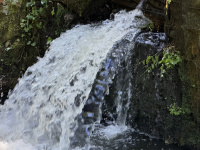 img_3258.jpeg