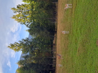 20250916_173746.jpg