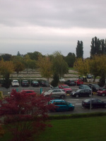 obraz46751.jpg