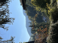 img_1141.jpeg