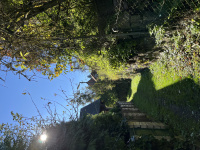 img_1144.jpeg