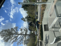 img_1207.jpeg