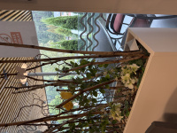 img_1044.jpeg