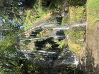 img_8923.jpeg