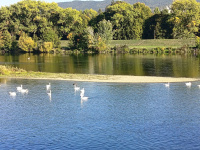 img_20261006_154823.jpg
