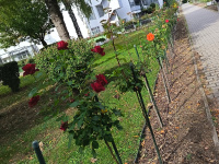 img_20261009_135714.jpg